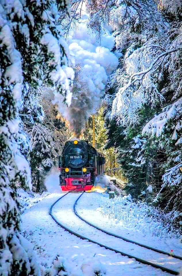 Barrancas del Cobre Navidad