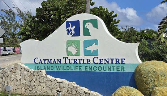 Cayman Turtle Centre