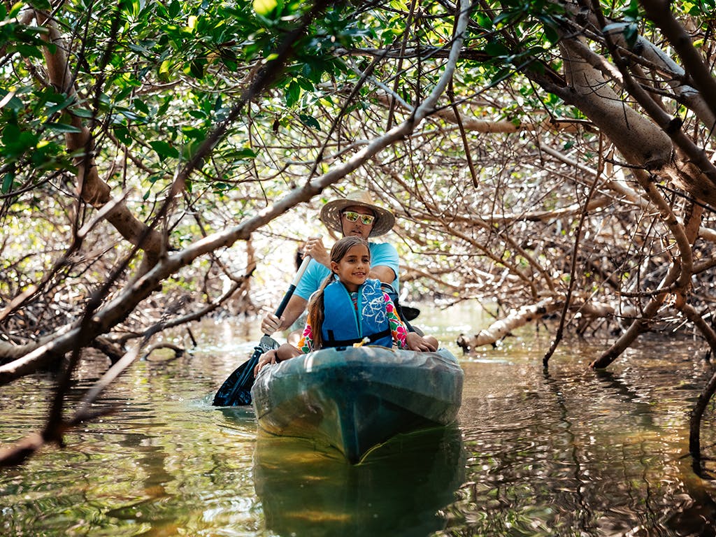 Everglades y actividades