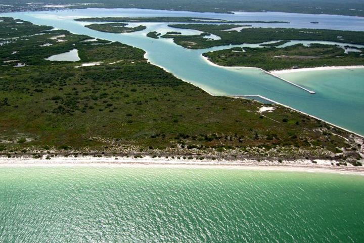 Paseo en lancha por Río Lagartos Yucatán con flamingos y manglares